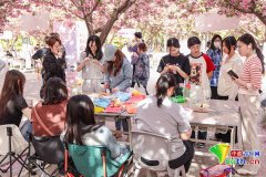 西京学院Q打制樱花树(wi)下的思政育h讲堂